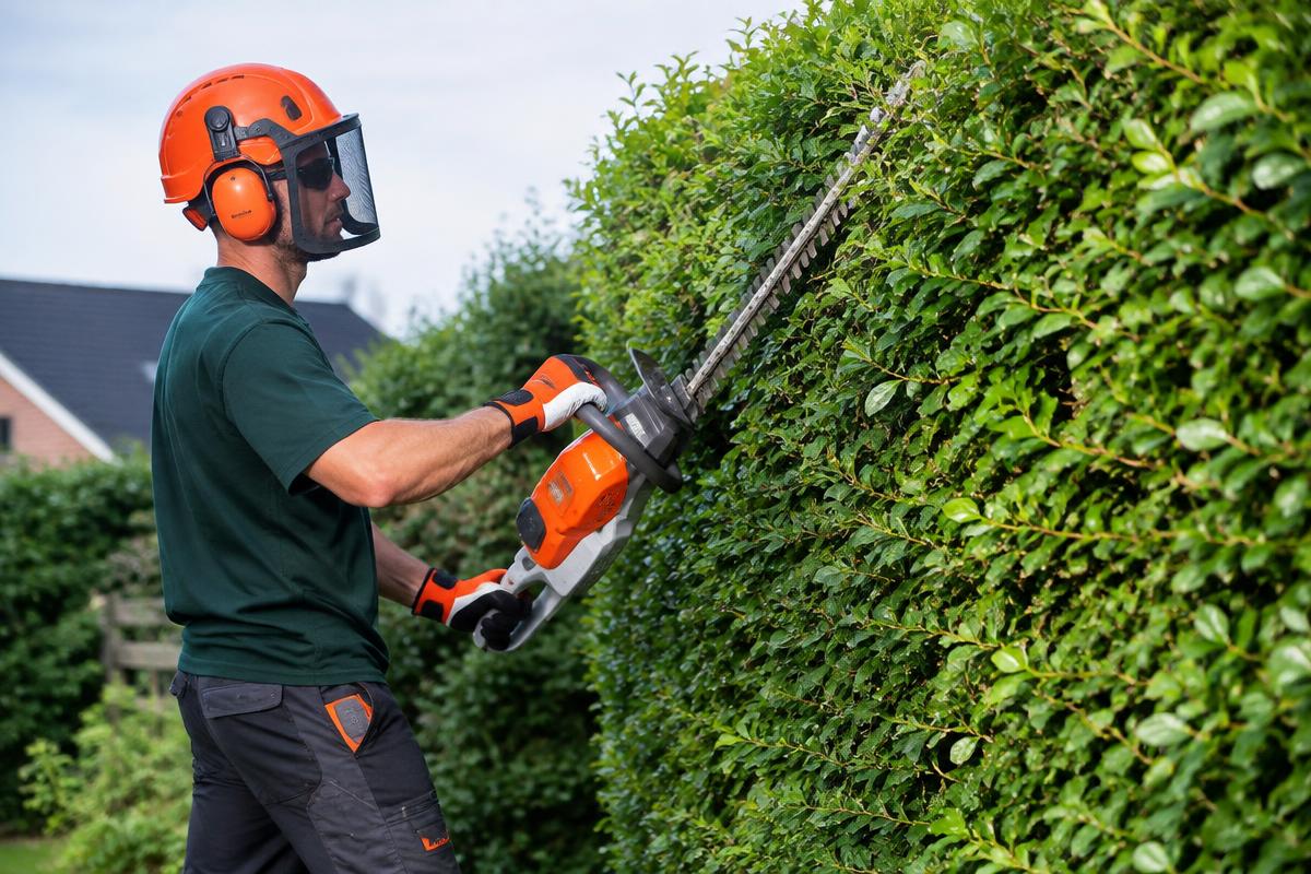 Jardinier taillant une haie avec un taille-haie